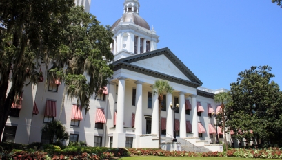 For Florida Courts E-Filing Only: